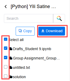 Download student workspace files on preview page